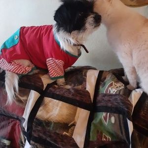 Meet your Posher, Annie